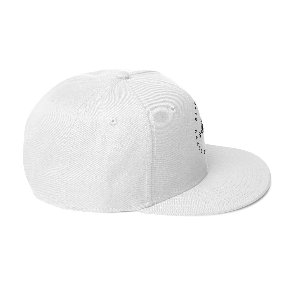 Rise Above Snapback Hat